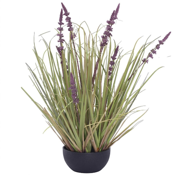 Purple Lavender Young Grass (62cm)