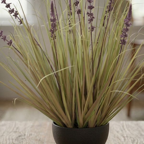 Purple Lavender Young Grass (62cm)