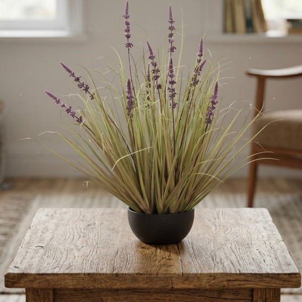 Purple Lavender Young Grass (62cm)