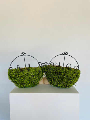 Natural Coco Liner Wall Basket Planter