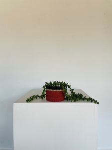 Glass Planter with Woven Cover Small