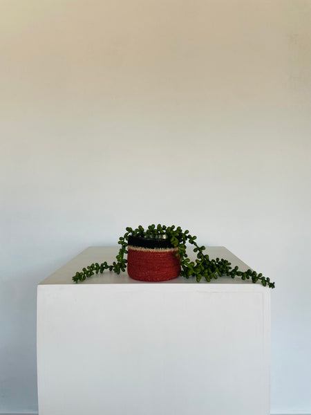 Glass Planter with Woven Cover Small