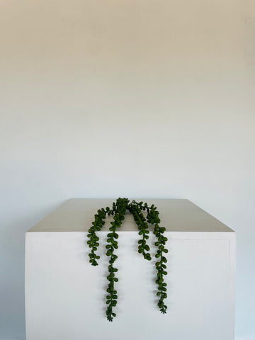 Hanging Plant Vine Faux