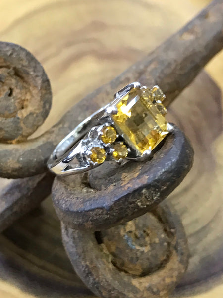 Multi Citrine (Size P)