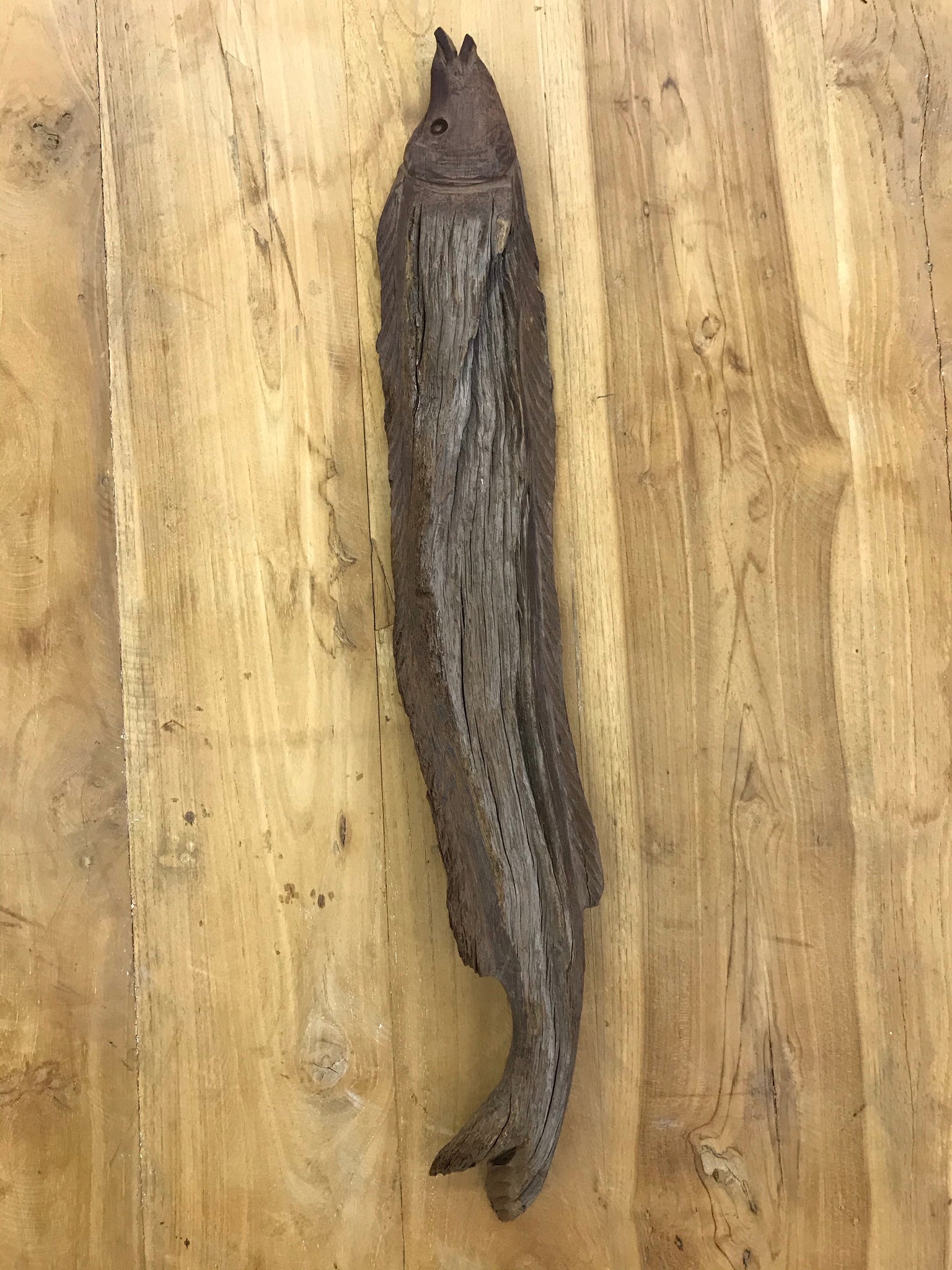 Driftwood Eel