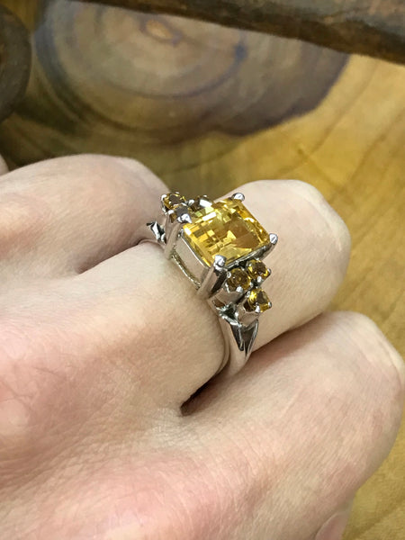 Multi Citrine (Size P)